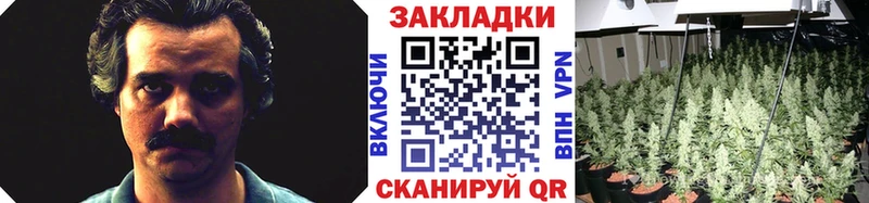 Купить наркотики Хвалынск Амфетамин  Галлюциногенные грибы  ГАШИШ  Альфа ПВП  Меф мяу мяу  ОМГ ОМГ ONION  COCAIN  Каннабис 