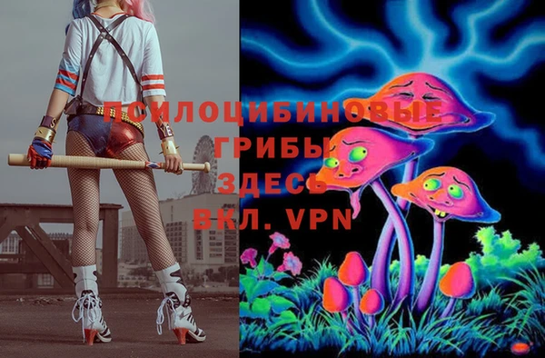mdpv Беломорск