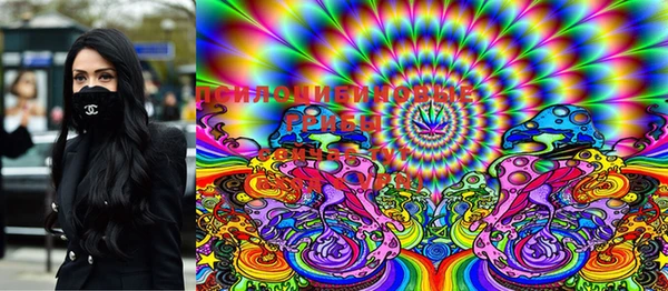 мдма Белокуриха