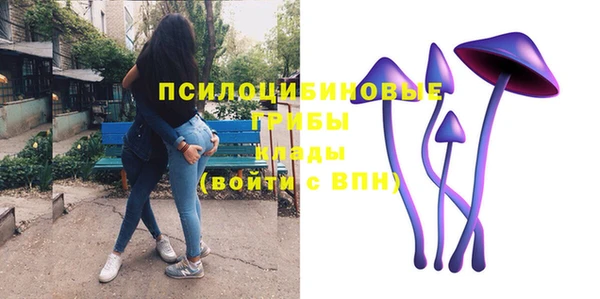 mdpv Беломорск